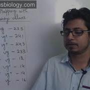 Linkage Mapping Problem Three Point Cross CSIR NET Analytical Practice Problems In Part C