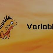 Zig Variables Tutorial 05