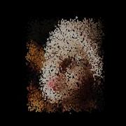 Make Photo Particle With Apple Motion