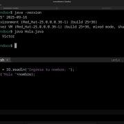 Instalación De Java 25 Y 21 Sobre Fedora Linux 42 Con IntelliJ Idea