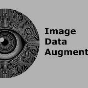Image Data Augmentation