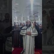 Cat Climbs Sheikh During Ramadan Prayer