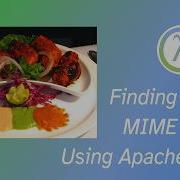 Finding File S MIME Type Using Apache Tika In Clojure