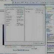Flash Game Hack