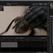2D Track Test Nuke