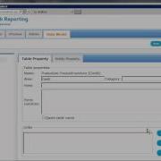 SSRS Web Reporting With SQL Server Database