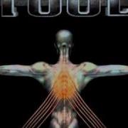 Tool No Quarter Salival Led Zeppelin Cover