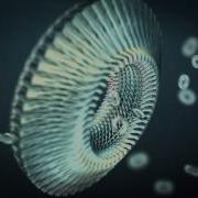 New Element 3D Animation Test