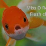 Miss O Reads Flush Ch 5