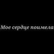 Mull3 Моя Дама Текст