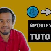Automate Your Music With Python Spotify API