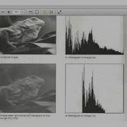 Histogram Modification