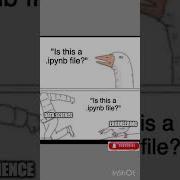 Is This An IPython Notebook File Shorts Viral Python