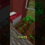 Finding A Glitched Half Bed In Minecraft