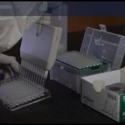 How To Analyze Gene Expression From Cultured Cells