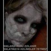 Alçak Serdem Coşkun