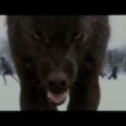 Crepúsculo Twilight AMV Centuries