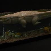 I Made A Glowing Radioactive Alligator