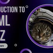 Introduction To HTML Quiz Day 2 Codecademy