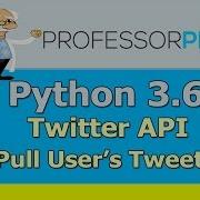 Using Twitter API Pull User S Tweets Python 3 6