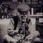 Snake Charmer S Flute For Sleep