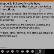 02 Cell Structure And Function Part 1