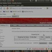 WebGoat 5 3 Exploit Hidden Fields