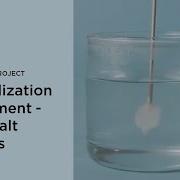 Crystallization Experiment Grow Salt Crystals DIY Science Project