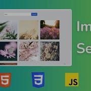 How To Create Image Search Using HTML CSS And JavaScript Infinte Scrolling