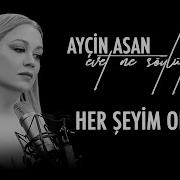 Ayçin Asan Her Şeyim Oldun