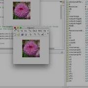 Image Compression Using SVD Colour Image Using MATLAB