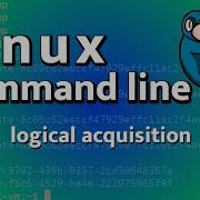 LCL 18 Logical Acquisition With Rsync Tar 7z Linux Command Line Tutorial For Forensics