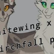 Whitewing X Birchfall Pmv Requested Video