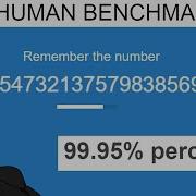 Programmer VS The Human Benchmark Test Number Memory