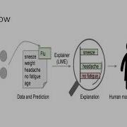 Locally Interpretable Model Agnostic Explanations