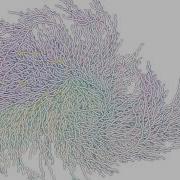 Visualizing Collatz