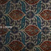 16 Condition Controlled Loops