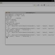 MongoDB Database Documents And Collections