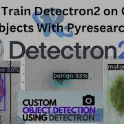 Complete Detectron2 Custom Object Detection Tutorial Computer Vision Tutorial