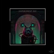 Experiment 001