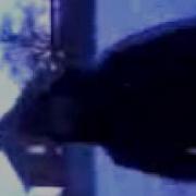 Sik In Da Head 3gp