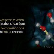 60Second Enzymes