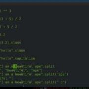 Programming Ruby 04 Objects Messaging And Basic Types