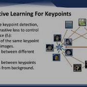 CoKe Contrastive Learning For Robust Keypoint Detection