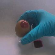 Nano Egg