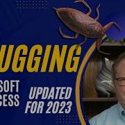 A Deep Dive Into Testing And Debugging VBA Scripts