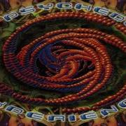 V A The Psychedelic Experience Full Double Mix
