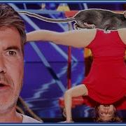Talented Rat Performs Quite Impressive Tricks America S Got Talent