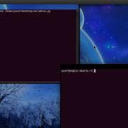 Python Variables Constants Tutorial 3
