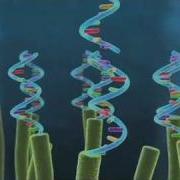Scripted And More Complex Animated Sequences